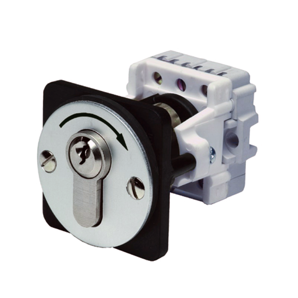 Einbau Fronttafel Schlüssel-Taster 1 Tast-Kontakt Impuls