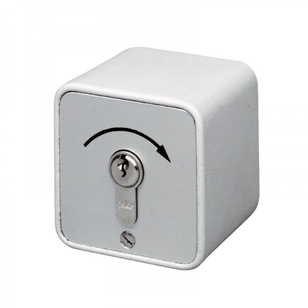 Schlüssel-Taster 1 Tast-Kontakt Impuls Aufputz