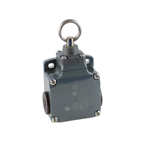 Torix Deckenzugschalter mit Ring-Oese