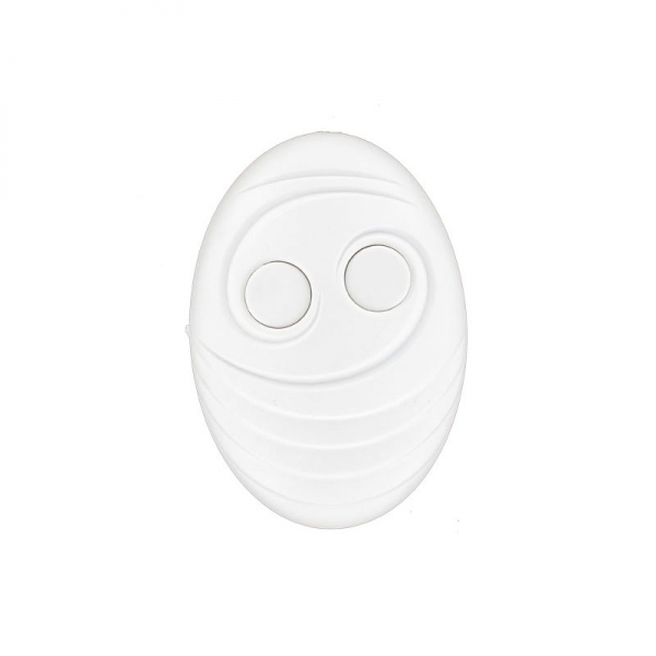 Elca Wandtaster E1270 Virgo 433 MHz 2 Kanal