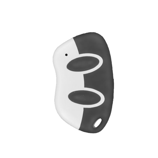 Erone Handsender SETR2641 AM2.N 433 MHz 2 Kanal anthrazit