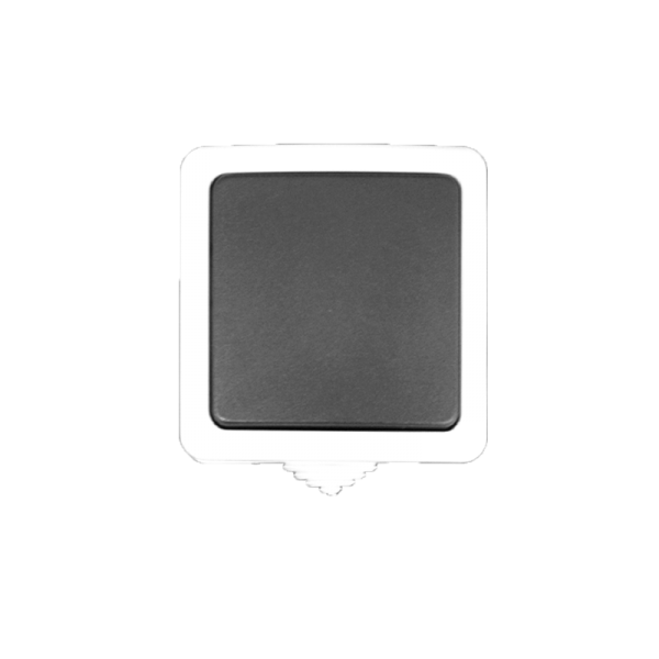 JCM Funktaster GoPush