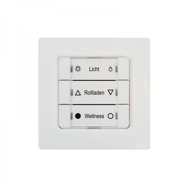 Rademacher 9494-1 DuoFern Wandsender Mehrfachwandtaster mit Batterie